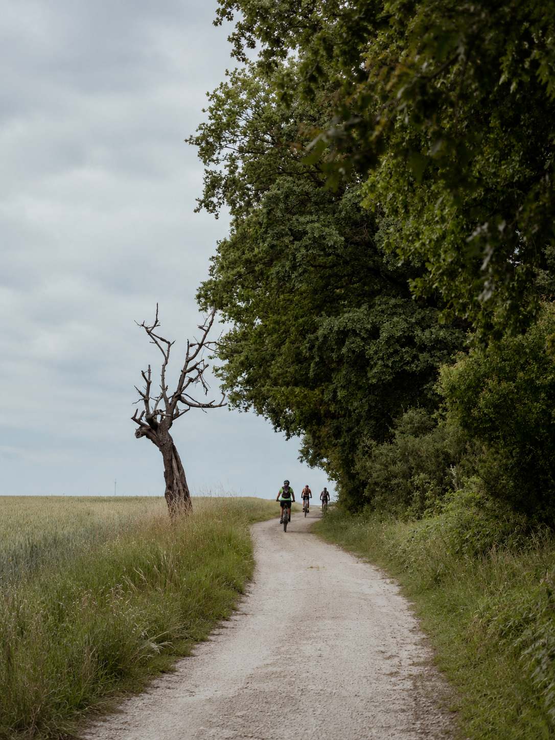 Camping nad Odrą – kemping w Porcie Uraz
